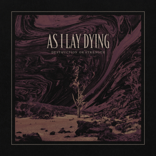 As I Lay Dying (USA) : Destruction or Strength